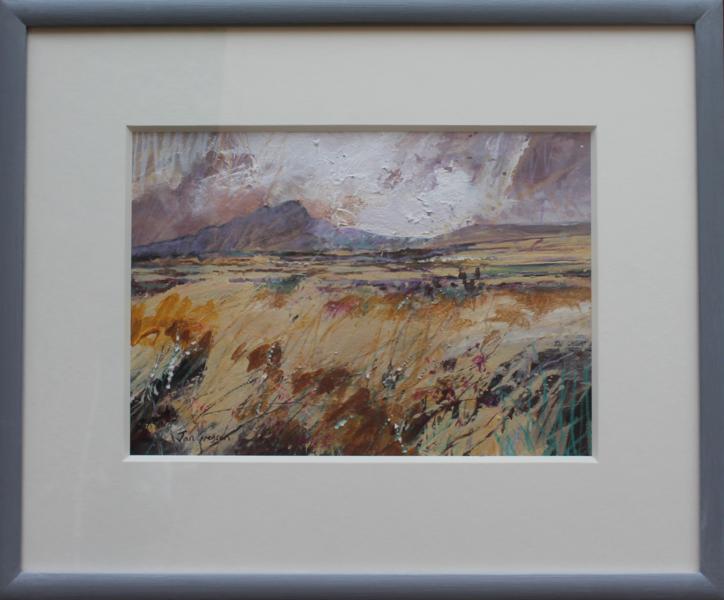 jan-gregson-carn-llidi-from-dowrog-common-framed