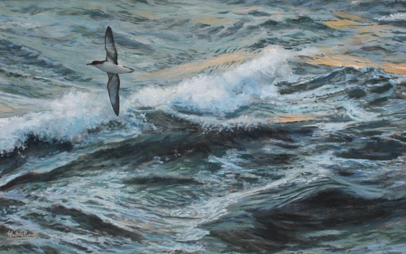 Alastair Proud - Lone Shearwater