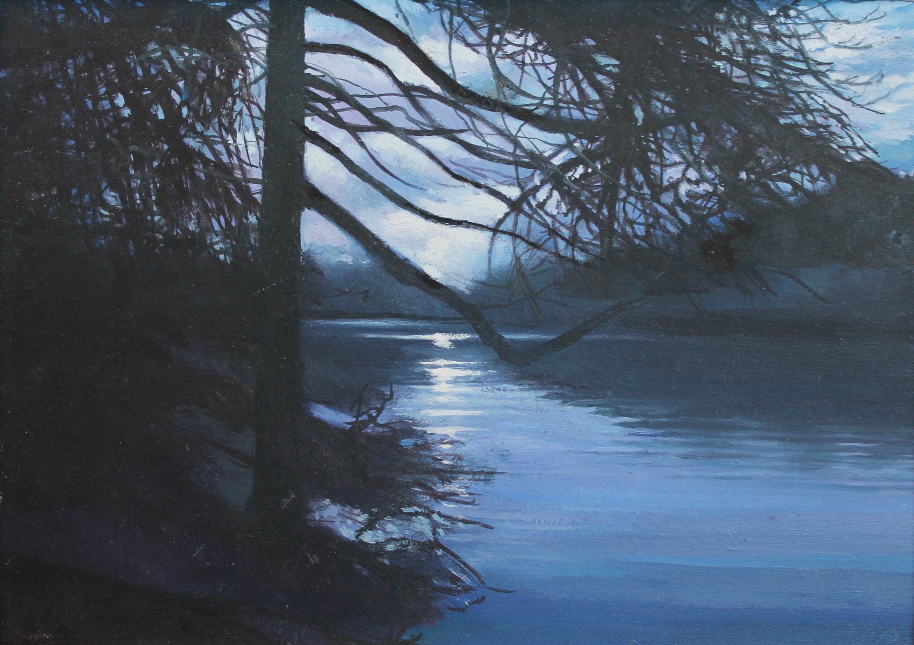 Gareth H Davies - Bosherston pond, Stackpole Night'