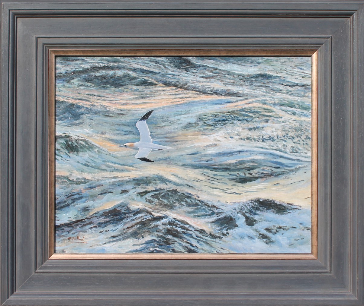 Alastair Proud - Evening Gannet - framed - Copy
