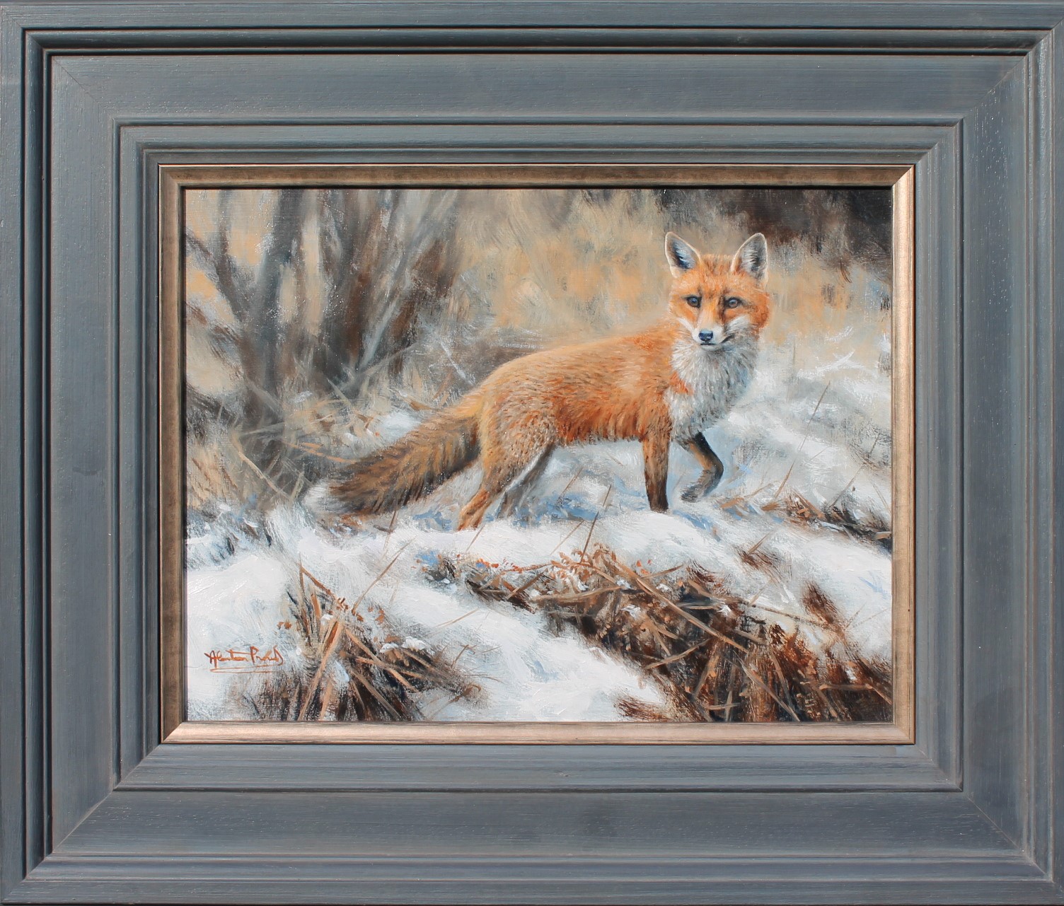 Alastair Proud - Winter Fox, Preselis - framed