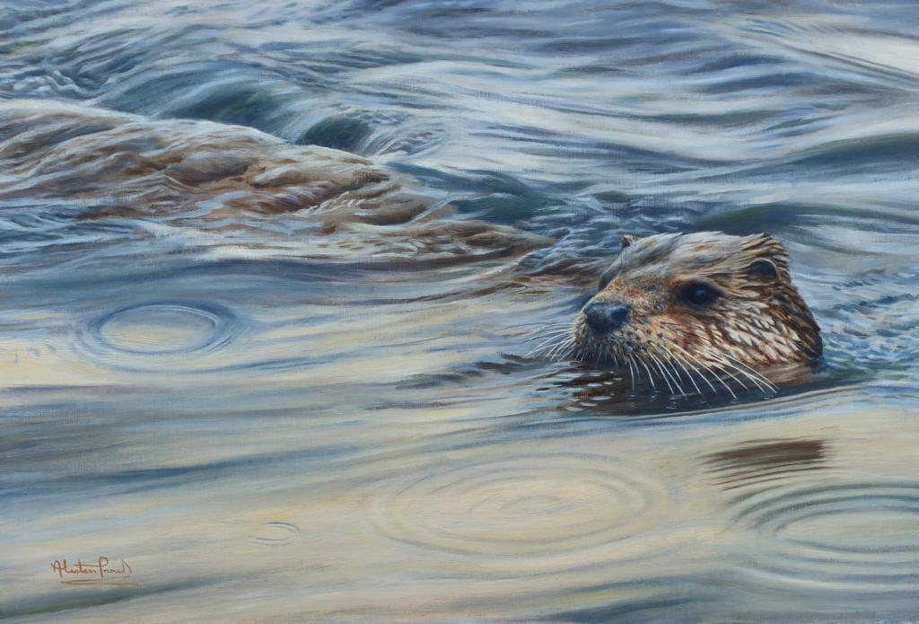 Alastair Proud - Dyfrgi - Cemaes Head_1024x695