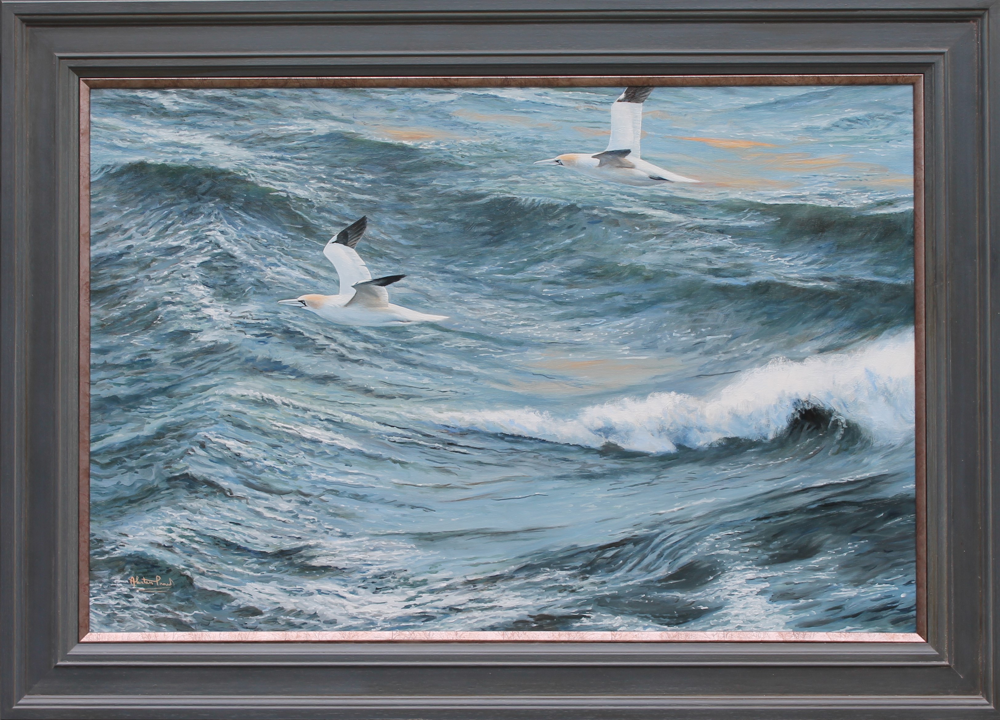 Alastair Proud - Gannets over Jack Sound - framed