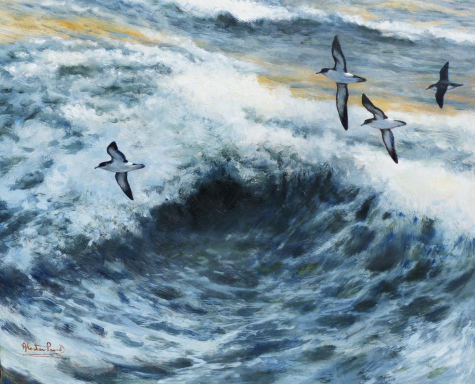 Alastair Proud -'Shearwater and surf'_950x768