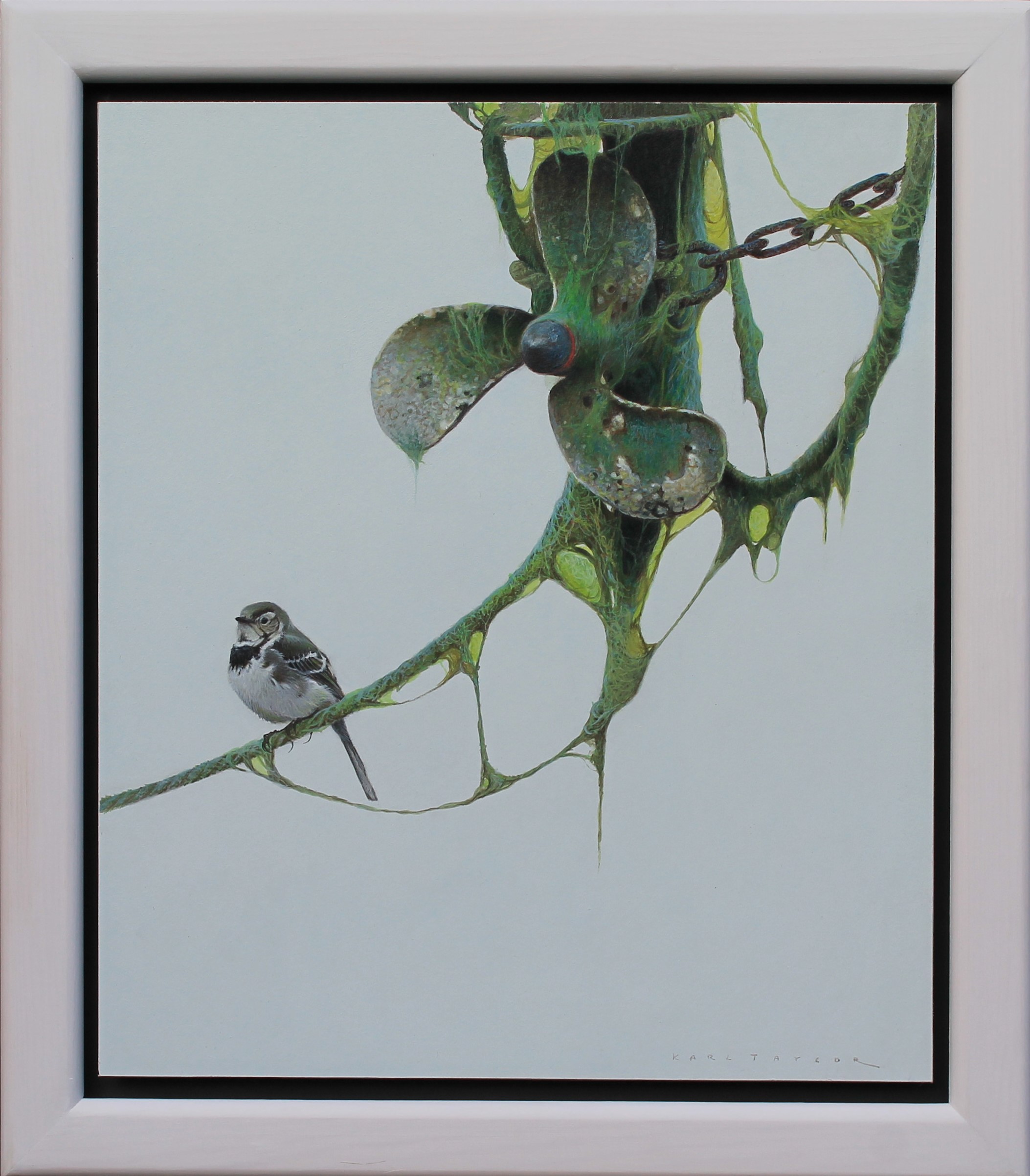 Karl Taylor -Algae covered propellar and Wagtail - framed