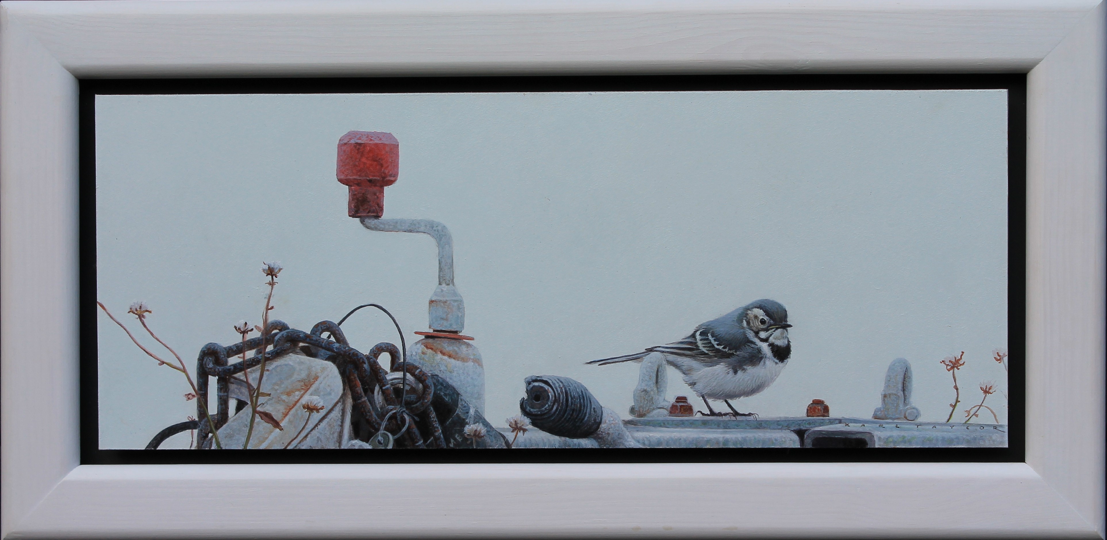 Karl Taylor - Young Wagtail- framed