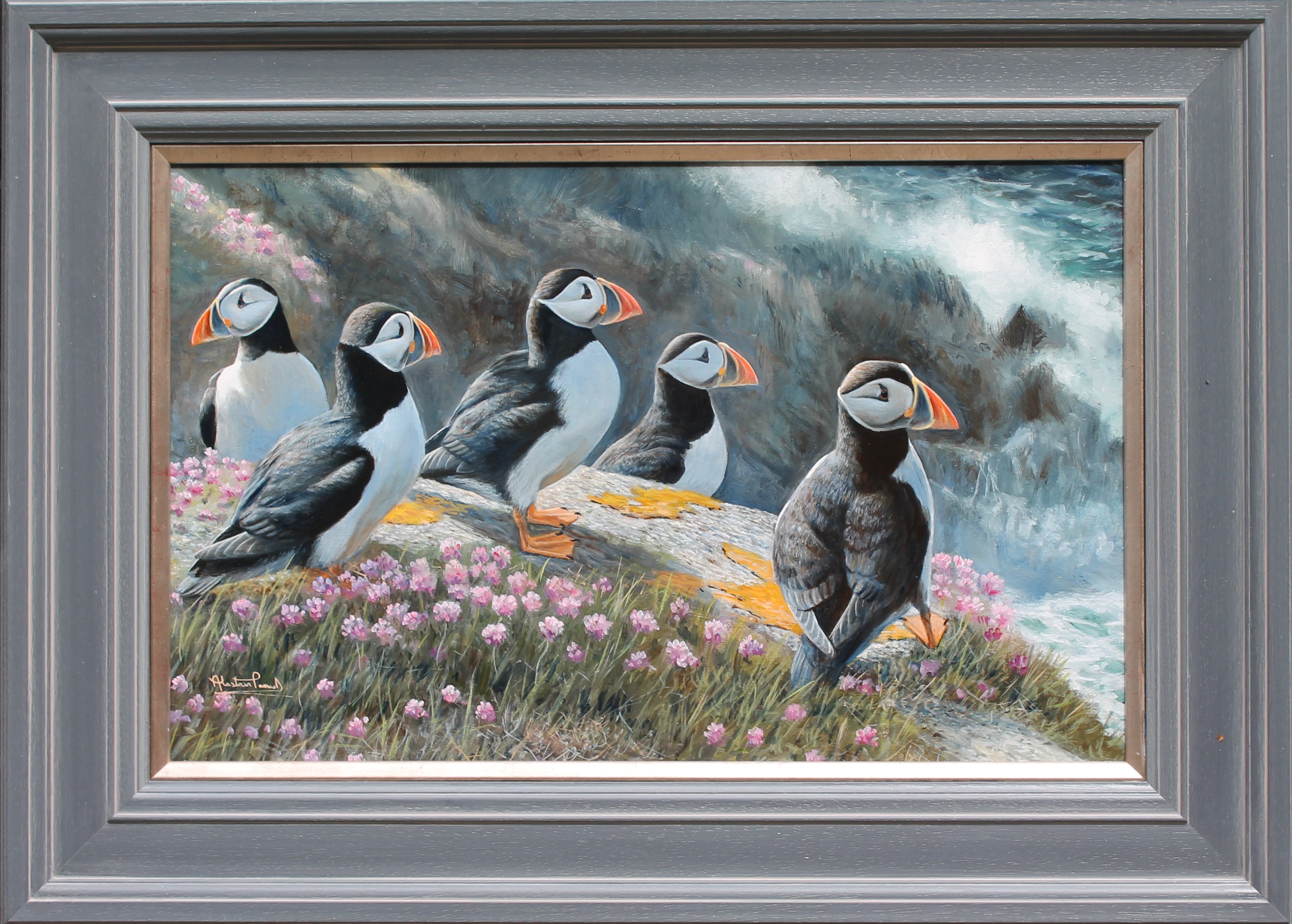Alastair Proud 'Sea Parrots, Amongst the sea pinks' - framed