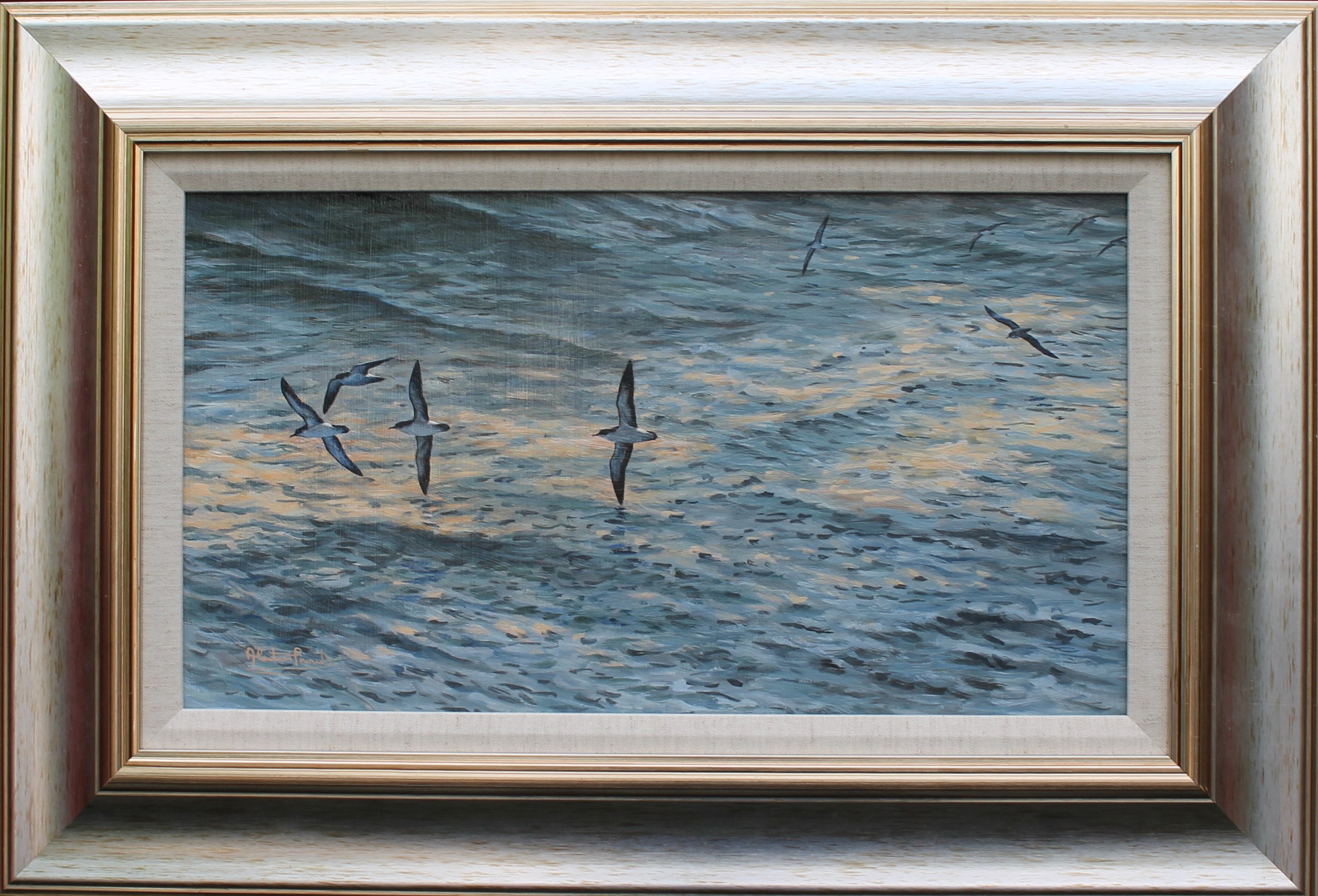 Alastair Proud - Evening Passage, Shearwaters - framed