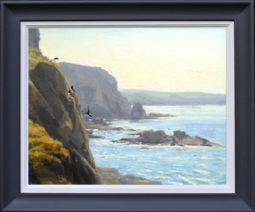Becky Thorley-fox - Razorbills at South Stack. - framed